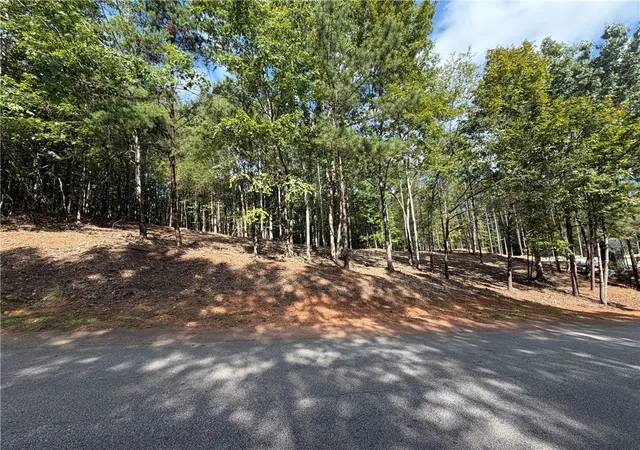 Photo 1 of Land for sale at 177 Crk Stone Ct, Six Mile, SC 29682 | MLS# 20306074 | Listing updated on 2026-09-11