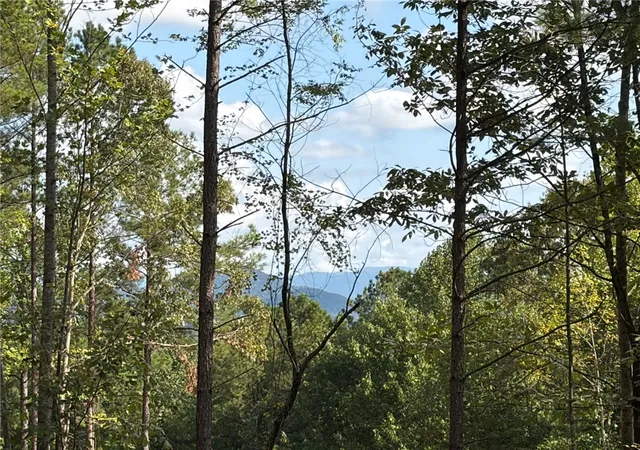 Photo 2 of Land for sale at 177 Crk Stone Ct, Six Mile, SC 29682 | MLS# 20306074 | Listing updated on 2026-09-11