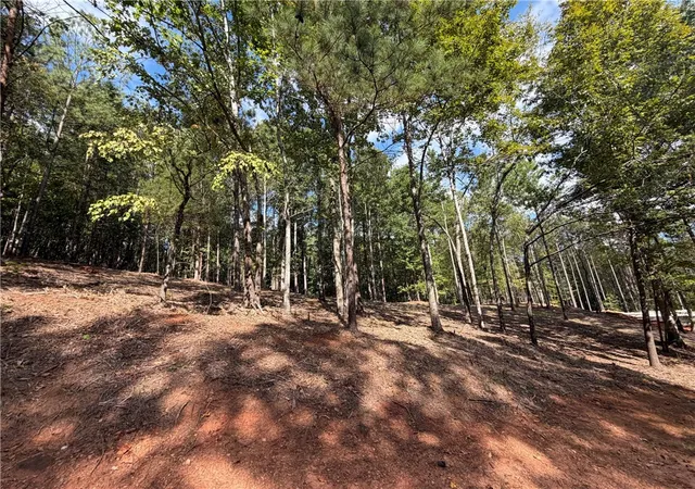 Photo 2 of Land for sale at 177 Crk Stone Ct, Six Mile, SC 29682 | MLS# 20306074 | Listing updated on 2026-09-11