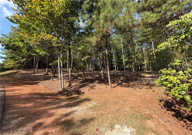 Photo 3 of Land for sale at 177 Crk Stone Ct, Six Mile, SC 29682 | MLS# 20306074 | Listing updated on 2026-09-11