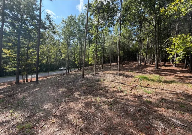 Photo 4 of Land for sale at 177 Crk Stone Ct, Six Mile, SC 29682 | MLS# 20306074 | Listing updated on 2026-09-11