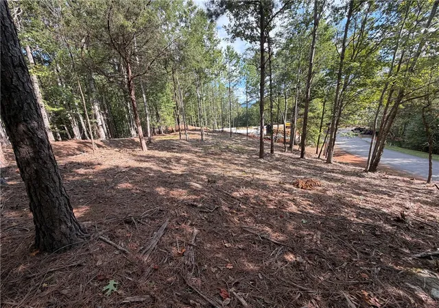 Photo 7 of Land for sale at 177 Crk Stone Ct, Six Mile, SC 29682 | MLS# 20306074 | Listing updated on 2026-09-11