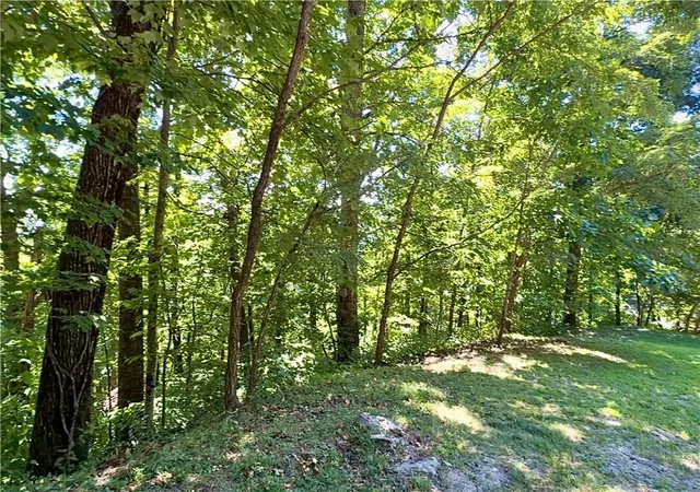 Photo 3 of Land for sale at 1424 Panther Park Trl, Travelers Rest, SC 29690 | MLS# 20306072 | Listing updated on 2026-09-11
