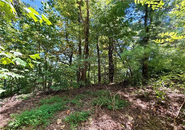 Photo 3 of Land for sale at 1424 Panther Park Trl, Travelers Rest, SC 29690 | MLS# 20306072 | Listing updated on 2026-09-11