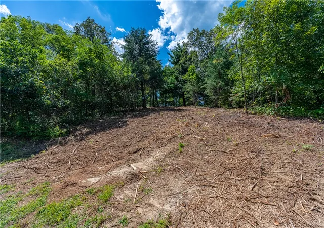 Land for sale at 229 May Apple Way, Landrum, SC 29356 | MLS# 20306119