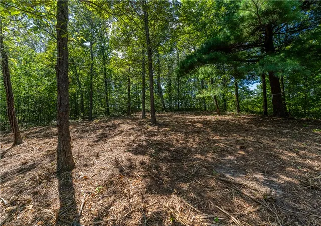 Photo 3 of Land for sale at 229 May Apple Way, Landrum, SC 29356 | MLS# 20306119 | Listing updated on 2026-09-13
