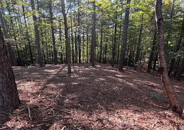 Land for sale at Lot 40 Jasmine Point, Salem, SC 29676 | MLS# 20307160