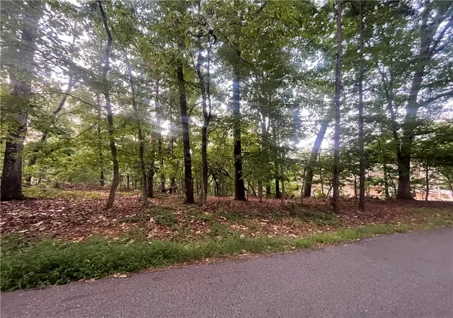 Photo 2 of Land for sale at 0 Craig Ln, Salem, SC 29676 | MLS# 20307094 | Listing updated on 2026-10-11