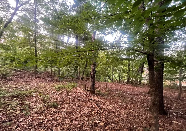Photo 3 of Land for sale at 0 Craig Ln, Salem, SC 29676 | MLS# 20307094 | Listing updated on 2026-10-11