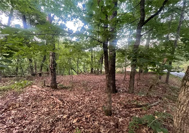 Photo 4 of Land for sale at 0 Craig Ln, Salem, SC 29676 | MLS# 20307094 | Listing updated on 2026-10-11