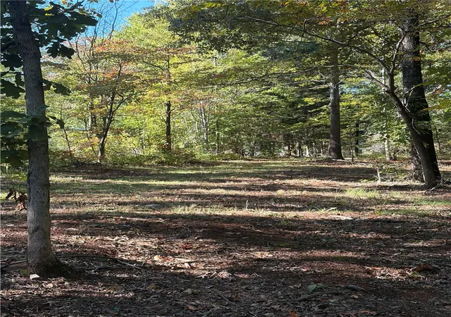 Photo 4 of Land for sale at 123 Hunters Ridge, Salem, SC 29676 | MLS# 20307263 | Listing updated on 2026-10-15
