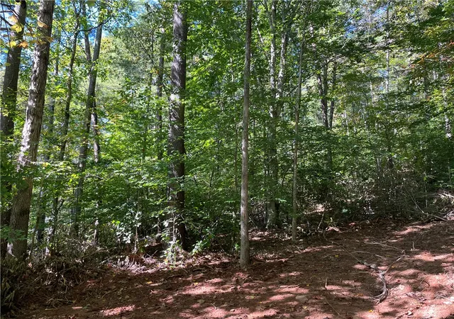 Photo 4 of Land for sale at 228 Tater Hl Mountain Rd, Pickens, SC 29671 | MLS# 20308351 | Listing updated on 2026-10-18