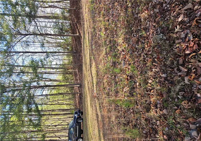 Land for sale at 139 Whispering Fls Dr, Pickens, SC 29671 | MLS# 20308514