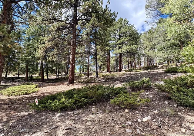 Photo 3 of Land for sale at 30317 Aspen Turn, Buena Vista, CO 81211 | MLS# 2341732 | Listing updated on 2026-09-08