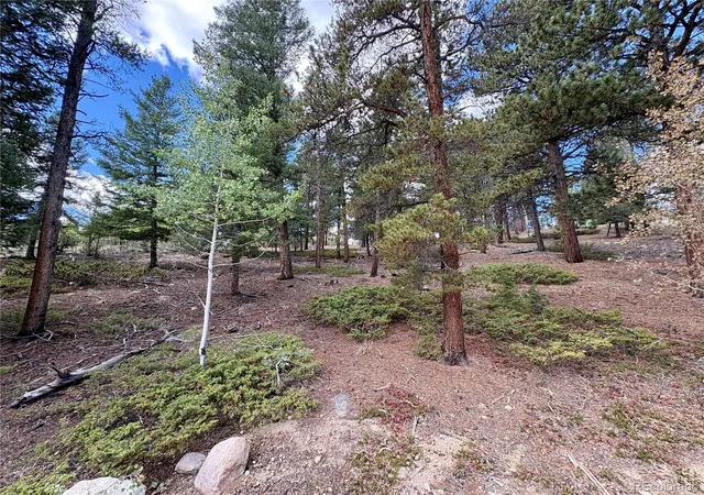 Photo 4 of Land for sale at 30317 Aspen Turn, Buena Vista, CO 81211 | MLS# 2341732 | Listing updated on 2026-09-08