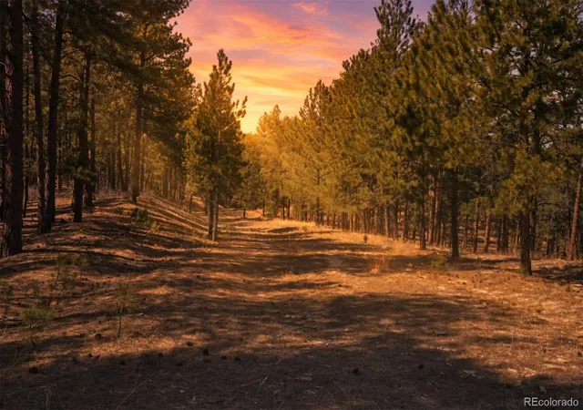 Photo 1 of Land for sale at Wood Sorrel Rd, Larkspur, CO 80118 | MLS# 7965389 | Listing updated on 2026-09-03