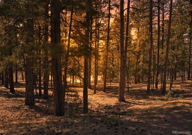 Photo 2 of Land for sale at Wood Sorrel Rd, Larkspur, CO 80118 | MLS# 7965389 | Listing updated on 2026-09-03