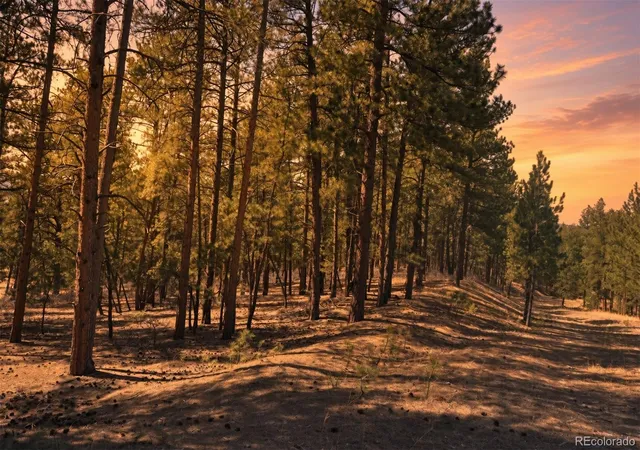 Photo 3 of Land for sale at Wood Sorrel Rd, Larkspur, CO 80118 | MLS# 7965389 | Listing updated on 2026-09-03