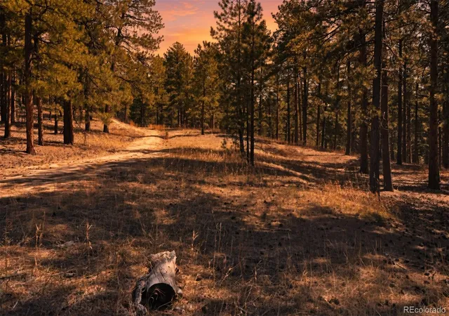Photo 3 of Land for sale at Wood Sorrel Rd, Larkspur, CO 80118 | MLS# 7965389 | Listing updated on 2026-09-03