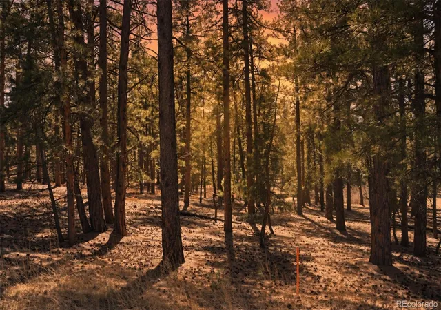 Photo 4 of Land for sale at Wood Sorrel Rd, Larkspur, CO 80118 | MLS# 7965389 | Listing updated on 2026-09-03