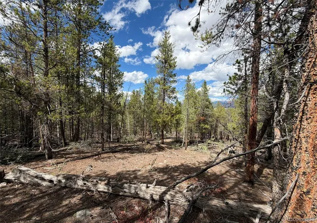 Photo 1 of Land for sale at 105 Parry Peak Dr, Twin Lakes, CO 81251 | MLS# 1615788 | Listing updated on 2026-09-02