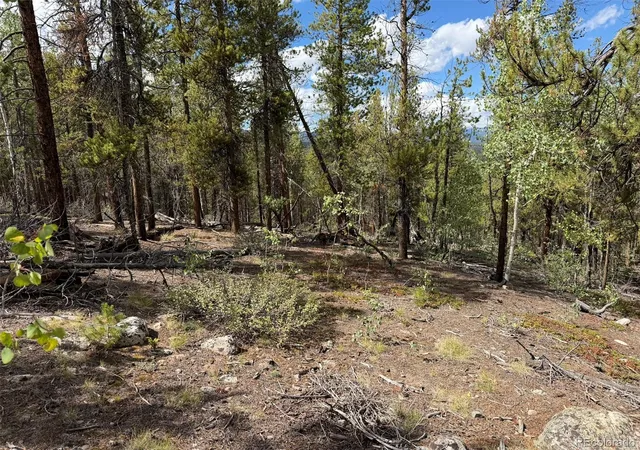 Photo 2 of Land for sale at 105 Parry Peak Dr, Twin Lakes, CO 81251 | MLS# 1615788 | Listing updated on 2026-09-02