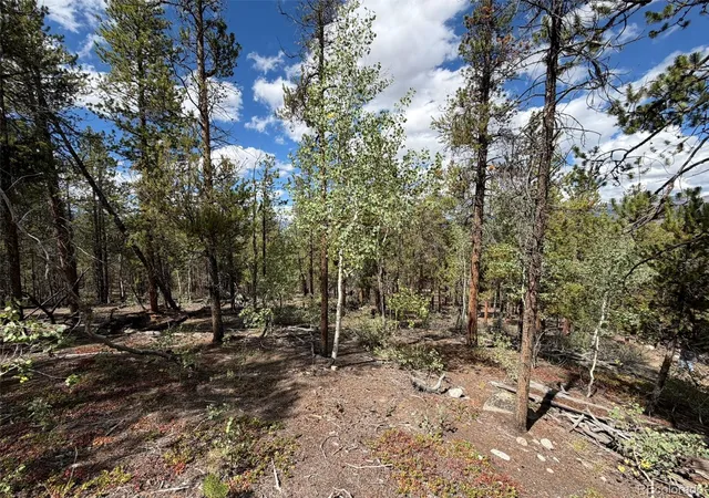 Photo 3 of Land for sale at 105 Parry Peak Dr, Twin Lakes, CO 81251 | MLS# 1615788 | Listing updated on 2026-09-02