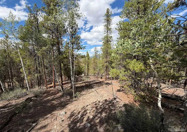 Photo 3 of Land for sale at 105 Parry Peak Dr, Twin Lakes, CO 81251 | MLS# 1615788 | Listing updated on 2026-09-02