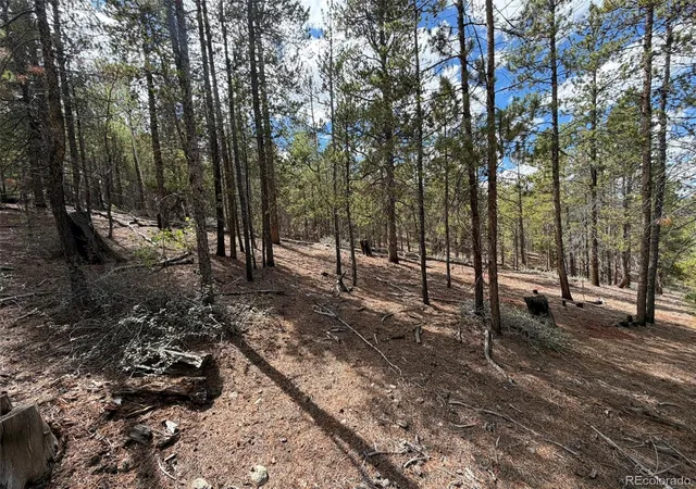 Photo 4 of Land for sale at 105 Parry Peak Dr, Twin Lakes, CO 81251 | MLS# 1615788 | Listing updated on 2026-09-02