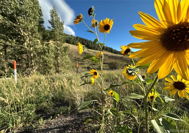 Photo 3 of Land for sale at 00 Highway 160, Fort Garland, CO 81133 | MLS# 6205667 | Listing updated on 2026-09-02