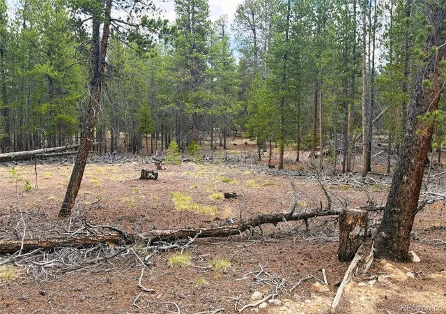Photo 3 of Land for sale at 701 Cedar Dr, Leadville, CO 80461 | MLS# 2507212 | Listing updated on 2026-09-02