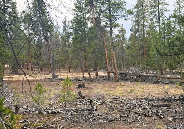 Photo 4 of Land for sale at 701 Cedar Dr, Leadville, CO 80461 | MLS# 2507212 | Listing updated on 2026-09-02