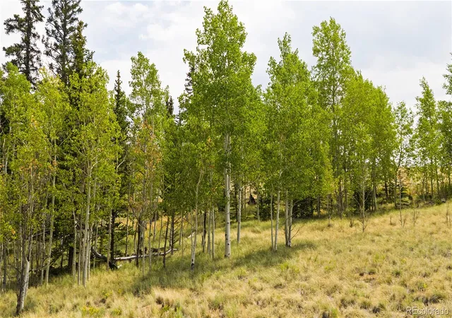 Photo 3 of Sale Pending at 540 Turk Pony Way, Como, CO 80432 | MLS# 8123844 | Listing updated on 2026-09-23