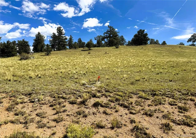 Photo 2 of Land for sale at 2669 Settele Dr, Hartsel, CO 80449 | MLS# 6576129 | Listing updated on 2026-09-06