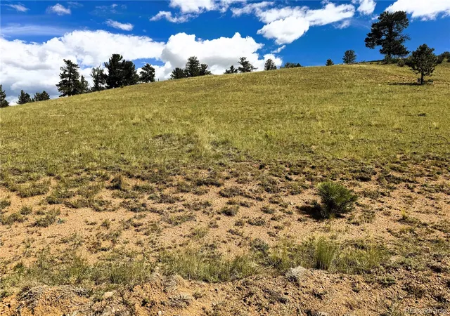 Photo 3 of Land for sale at 2669 Settele Dr, Hartsel, CO 80449 | MLS# 6576129 | Listing updated on 2026-09-06