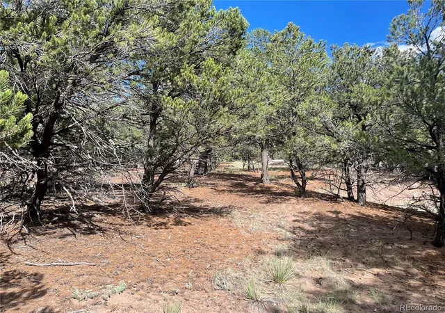 Photo 3 of Land for sale at 576 Panorama, Crestone, CO 81131 | MLS# 4850976 | Listing updated on 2026-09-03