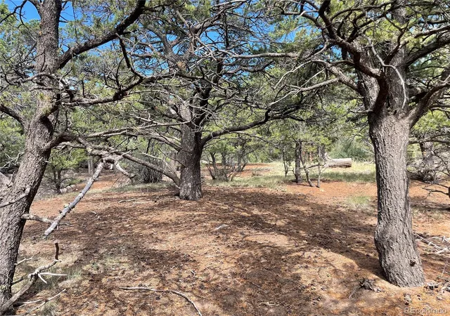 Photo 3 of Land for sale at 576 Panorama, Crestone, CO 81131 | MLS# 4850976 | Listing updated on 2026-09-03