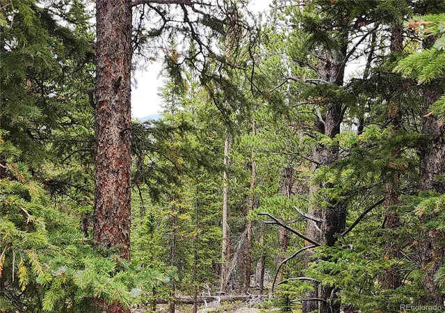 Photo 3 of Land for sale at 806 Bobcat Ln, Fairplay, CO 80440 | MLS# 7347790 | Listing updated on 2026-09-01