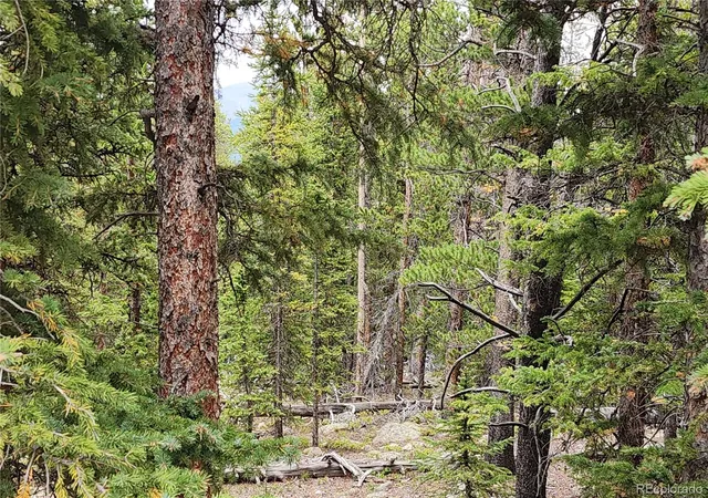 Photo 4 of Land for sale at 806 Bobcat Ln, Fairplay, CO 80440 | MLS# 7347790 | Listing updated on 2026-09-01