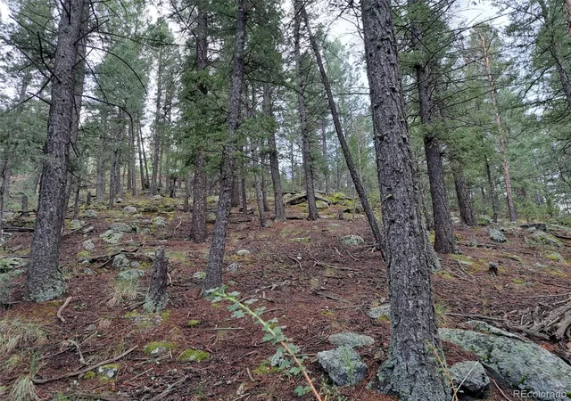 Photo 2 of Land for sale at 360 Hi Meadow Dr, Bailey, CO 80421 | MLS# 8103594 | Listing updated on 2026-09-01