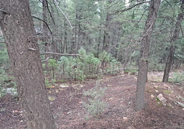 Photo 3 of Land for sale at 360 Hi Meadow Dr, Bailey, CO 80421 | MLS# 8103594 | Listing updated on 2026-09-01