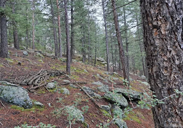 Photo 3 of Land for sale at 360 Hi Meadow Dr, Bailey, CO 80421 | MLS# 8103594 | Listing updated on 2026-09-01