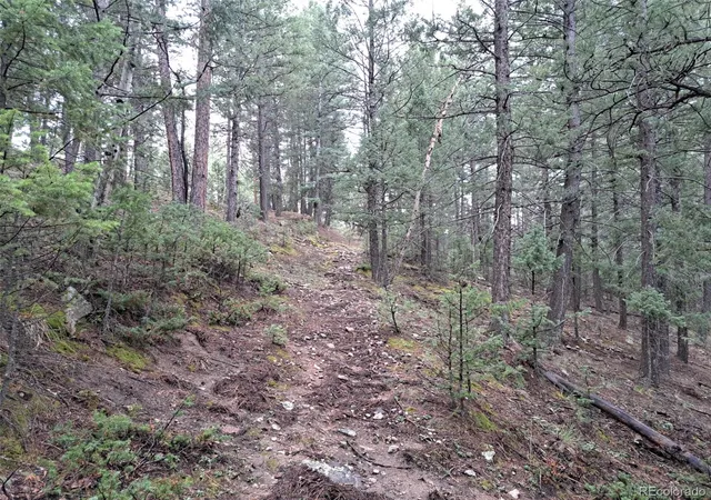 Photo 4 of Land for sale at 360 Hi Meadow Dr, Bailey, CO 80421 | MLS# 8103594 | Listing updated on 2026-09-01