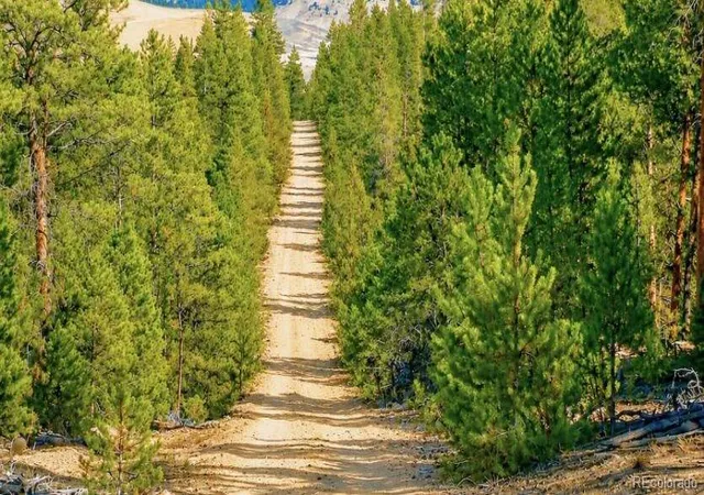 Photo 4 of Land for sale at Lot 55 Lodgepole Dr, Twin Lakes, CO 80461 | MLS# 2528158 | Listing updated on 2026-09-04