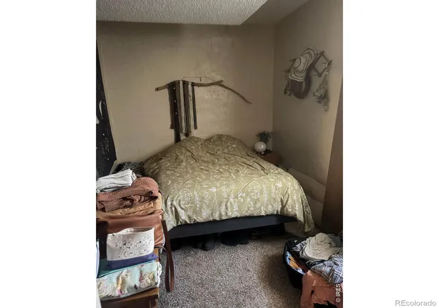Photo 21 of Multi family home for sale at 209 N Roosevelt Ave, Fort Collins, CO 80521 | MLS# IR1067817 | Listing updated on 2026-09-04