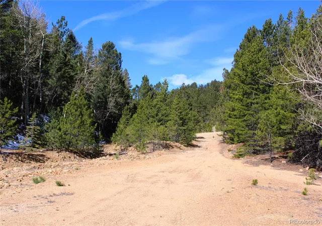 Photo 2 of Land for sale at 00 Missouri Flats Rd, Central City, CO 80427 | MLS# 6211479 | Listing updated on 2026-09-02