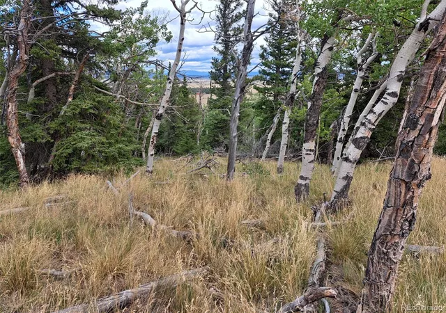 Photo 1 of Land for sale at 1844 High Crk Rd, Fairplay, CO 80440 | MLS# 3566720 | Listing updated on 2026-09-03