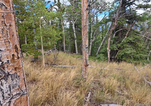 Photo 2 of Land for sale at 1844 High Crk Rd, Fairplay, CO 80440 | MLS# 3566720 | Listing updated on 2026-09-03