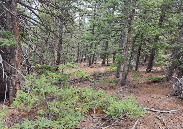 Photo 3 of Land for sale at 1844 High Crk Rd, Fairplay, CO 80440 | MLS# 3566720 | Listing updated on 2026-09-03
