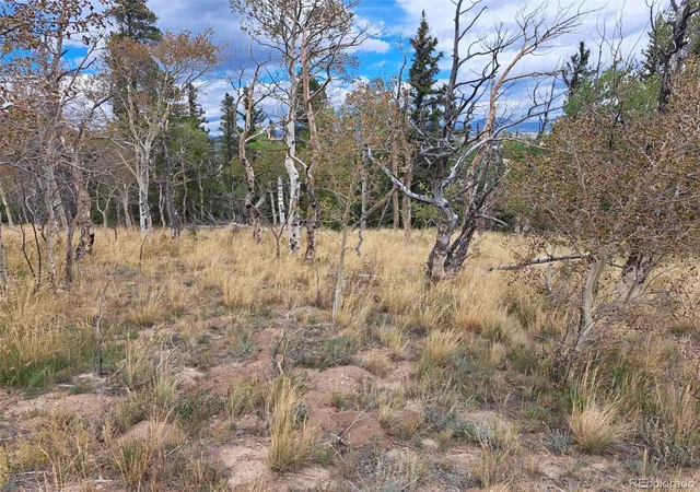 Photo 3 of Land for sale at 1844 High Crk Rd, Fairplay, CO 80440 | MLS# 3566720 | Listing updated on 2026-09-03